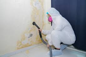 Best Mold Prevention Services in USA